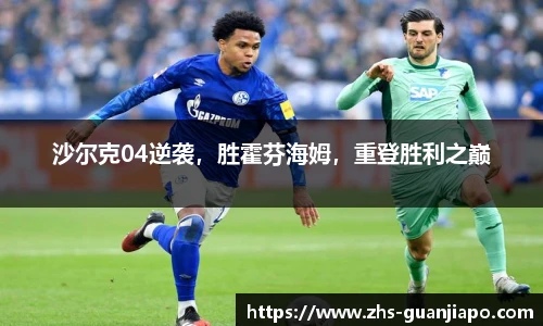 沙尔克04逆袭，胜霍芬海姆，重登胜利之巅